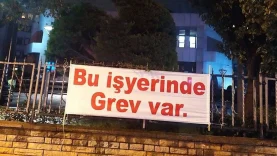 1774623009967-g-r-e-v