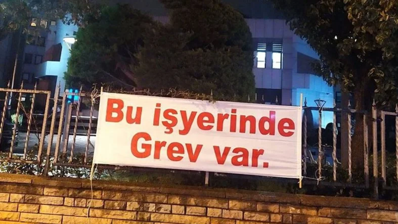 1774623009967-g-r-e-v