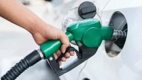 6765189fec59db53aab50724