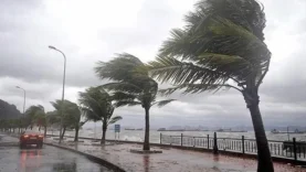 rumlar-sari-alarm-verdi-h4094-d1360-1024x576