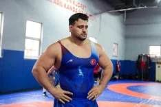 69e7c23dd1aa9486__w1200xh800