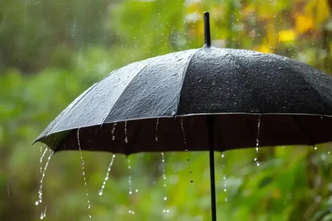 e3b206fc-82d8-40c9-9f30-6ea8e7850320-1024x682