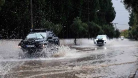 tfgdgb