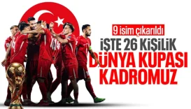 6a1e94526db6f412