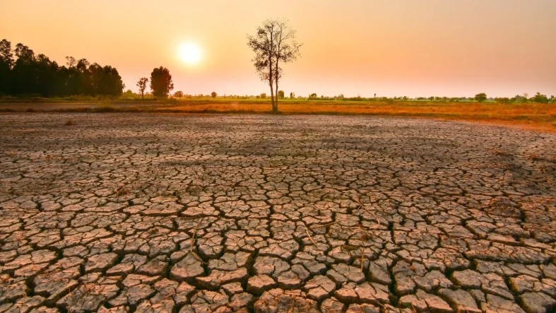 super-el-nino-geliyor-emtia-alarm-veriyor-2ztb_cover