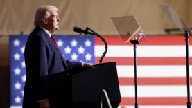 trump d