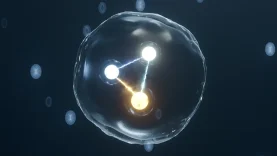 1786013423113particle-graphic