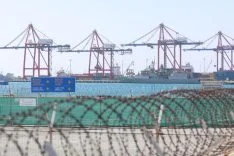 1772621804998firkateynler-limanda-1024x683