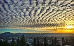 5lO0OqmiiADBqn8S-636924956910465365