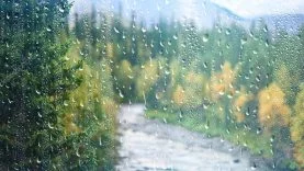 68a42f6d43419_yagmur-geliyor