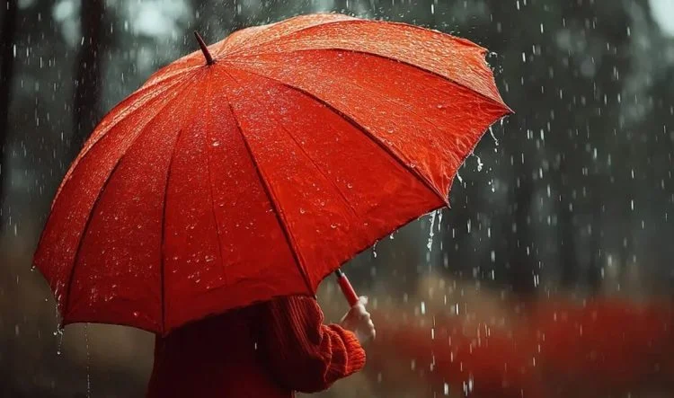 WhatsApp-Image-2025-09-21-at-11.55.29-1100x650