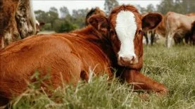 thumbs_b_c_a4540ec5d093d9c1b0a9b7851ab9fe42