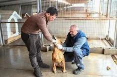 1775380682591Gönyeli Alayköy Belediyesi (1)