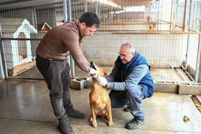 1775380682591Gönyeli Alayköy Belediyesi (1)