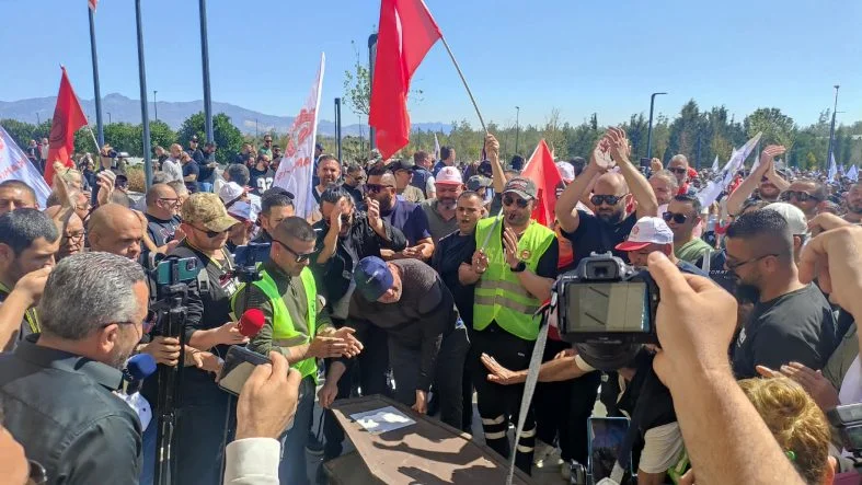 668902622_1380735584093499_1020600529794587403_n