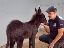 Ekran görüntüsü 2026-05-03 230144