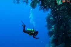 diving-side-5