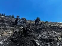 1780825953804ÇAVUŞ YANGIN1