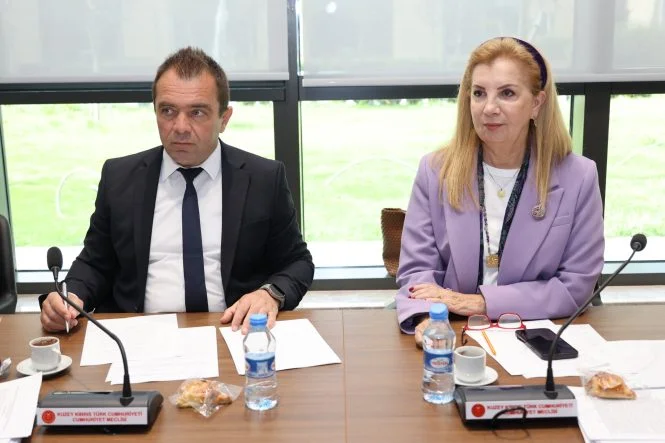 1782125889366maliye komitesi 2