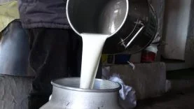 ÇİĞ SÜT FİYATLARI BELLİ