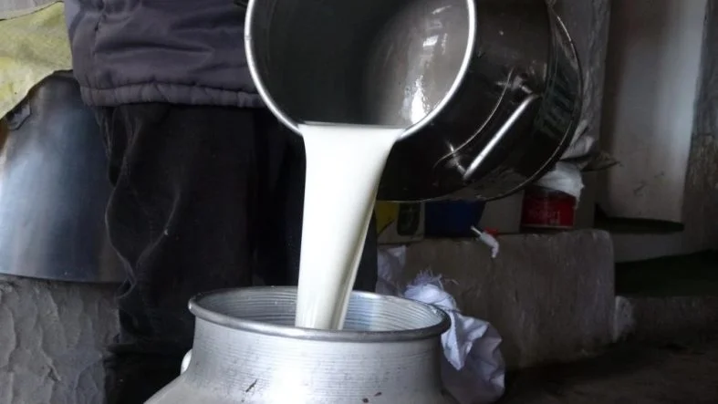 ÇİĞ SÜT FİYATLARI BELLİ