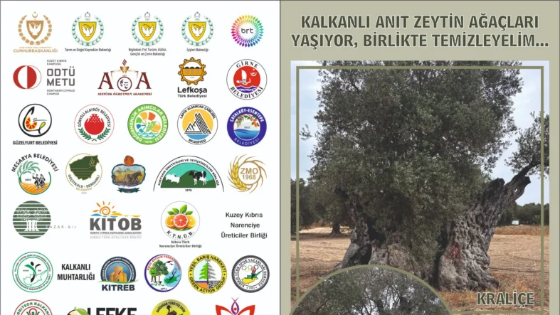 Adsız tasarım (5)