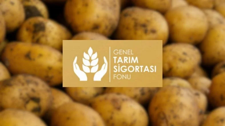 geneltas