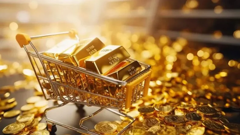 hazinedan-altin-aciklamasi-varliklardaki-azalis-bilincli-bir-tercih-ktni