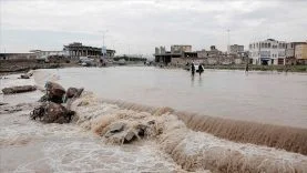 1783074618469sel yemen