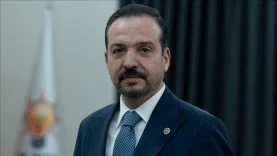 17845431622061748604385311zorlu