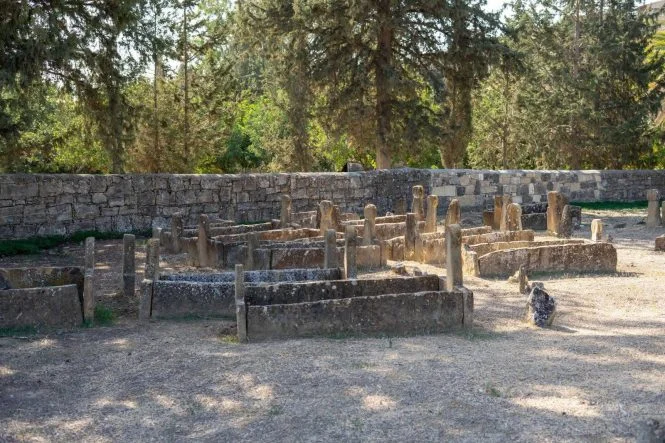 1785404466701vakıflar idaresi 3