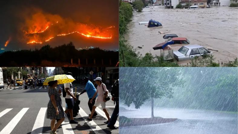 hava 4lü