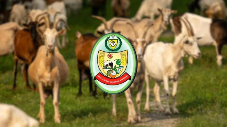 küçbaş