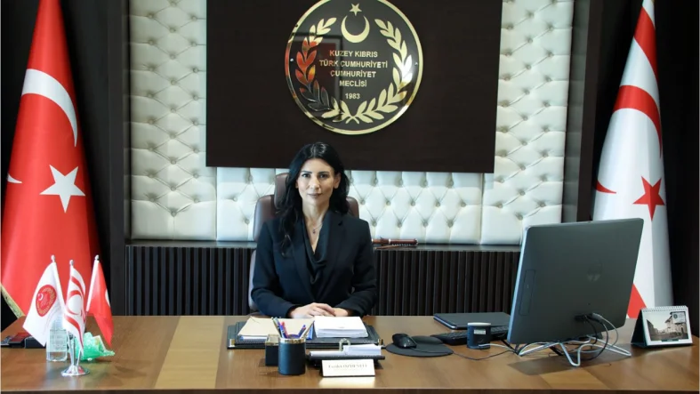 özdenefe