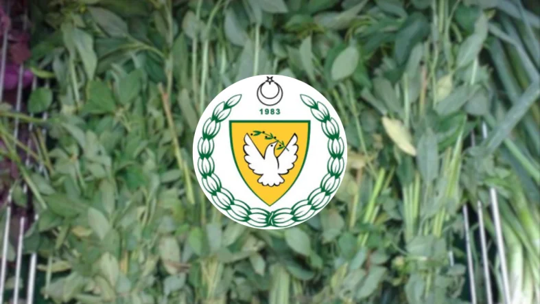 tarım