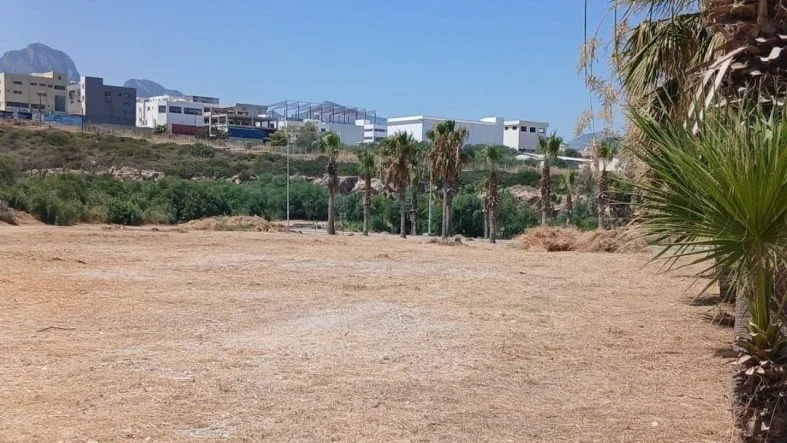 lkınb1239123