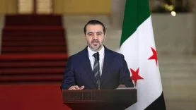 seybaniaa-2355692