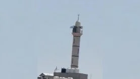 wb-s-2484342