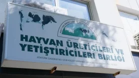 Adsız Tasarım (43)