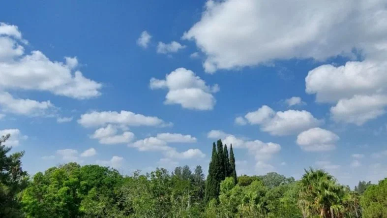 parça bulut