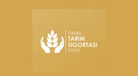 1791545481922Ekran görüntüsü 2026-10-09 143115