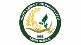 Adsız Tasarım (74)
