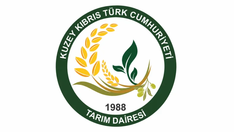Adsız Tasarım (74)