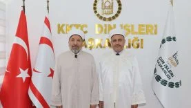 diydiyd33